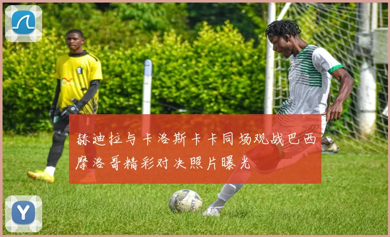 赫迪拉与卡洛斯卡卡同场观战巴西摩洛哥精彩对决照片曝光